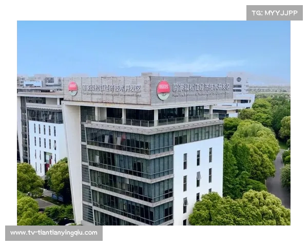 降级区发展与转型:探索新兴区域经济路径与社会融合模式 降级区发展与转型:探索新兴区域经济路径与社会融合模式